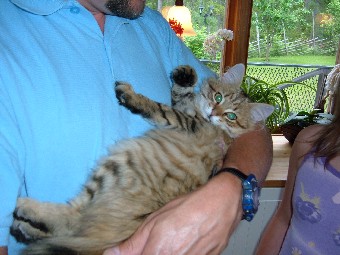 Nellie 14v hamtas030.jpg